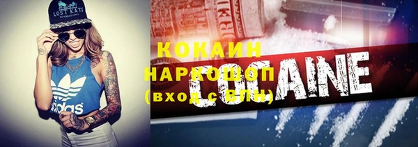 гидра Богородицк