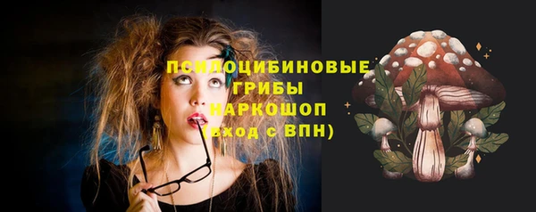 скорость Белокуриха