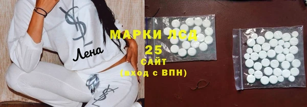 гидра Богородицк