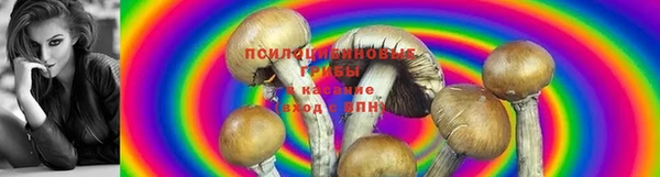 дживик Беломорск