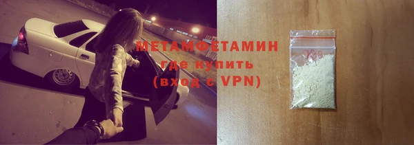 гидра Богородицк