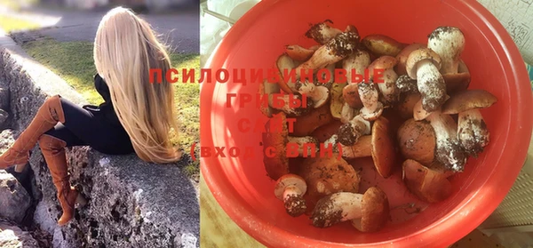 дживик Беломорск