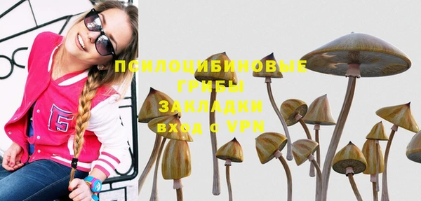 гидра Богородицк