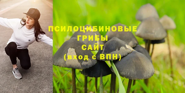 скорость Белокуриха