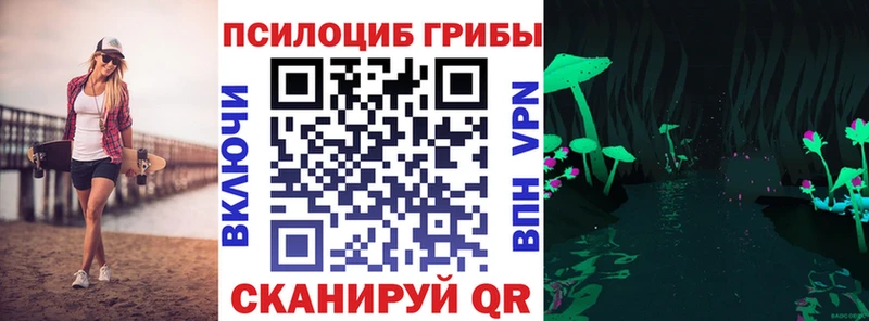 Галлюциногенные грибы MAGIC MUSHROOMS  Болгар 